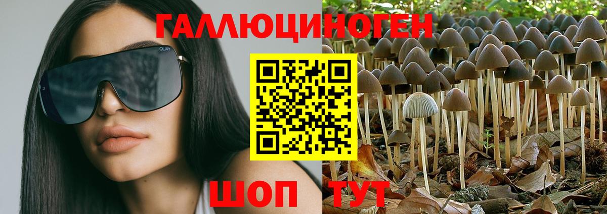 Галлюциногенные грибы Magic Shrooms  Псилоцибиновые грибы Psilocybe  Сургут  Вход с VPN 